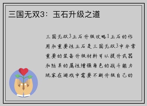 三国无双3：玉石升级之道